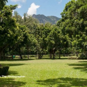 kowloon-tsai-park_wedding_outdoor_venue_hong_kong